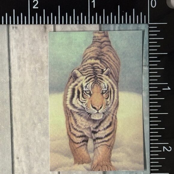 🌀10/$10🌀 Classic Vicious Cats Lion Tiger Cheetah Reusable Washi Sticker Decal - Picture 1 of 1